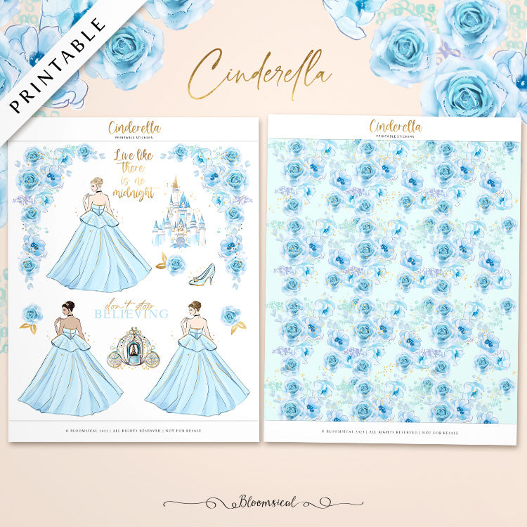 Cinderella PRINTABLE Stickers for Journaling & Planner Decoration